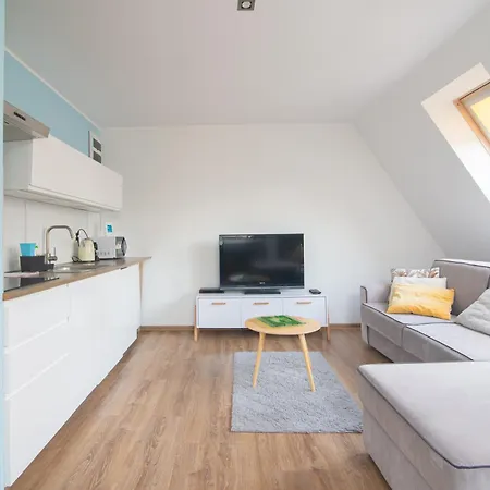 Sloneczne Poddasze Przy Molo I Plazy Apartment *