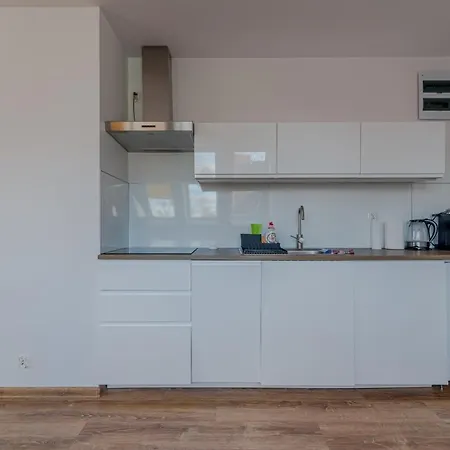 Sloneczne Poddasze Przy Molo I Plazy Apartment